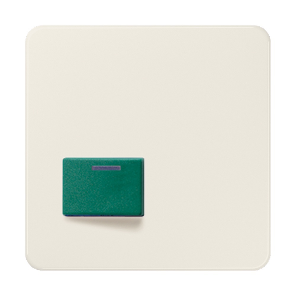 Jung Abdeckung Ackermann 642 C