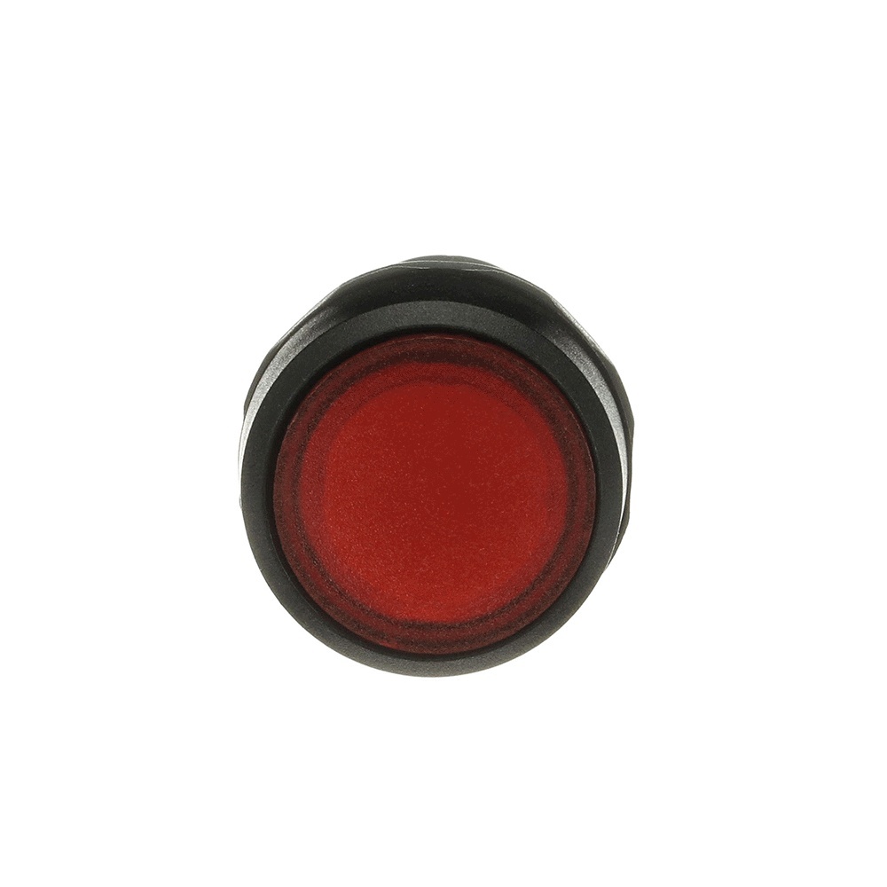 ABB Leuchtdrucktaster 1SFA619101R1111 Typ CP2-11R-10