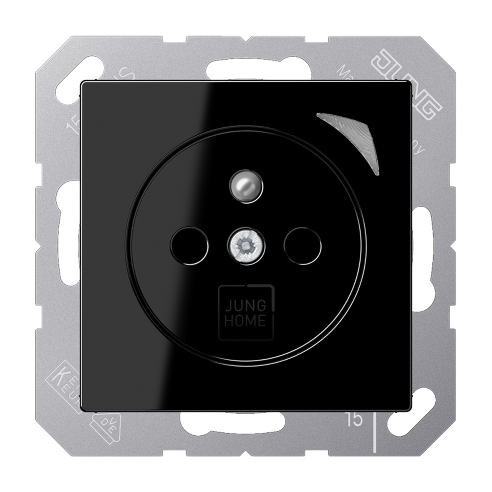 Jung JUNG HOME Steckdose BTA1521FSSW