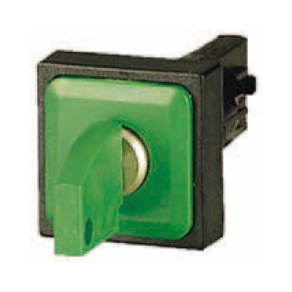 Eaton Schlüsseltaste 062153 Typ Q25S3-GN