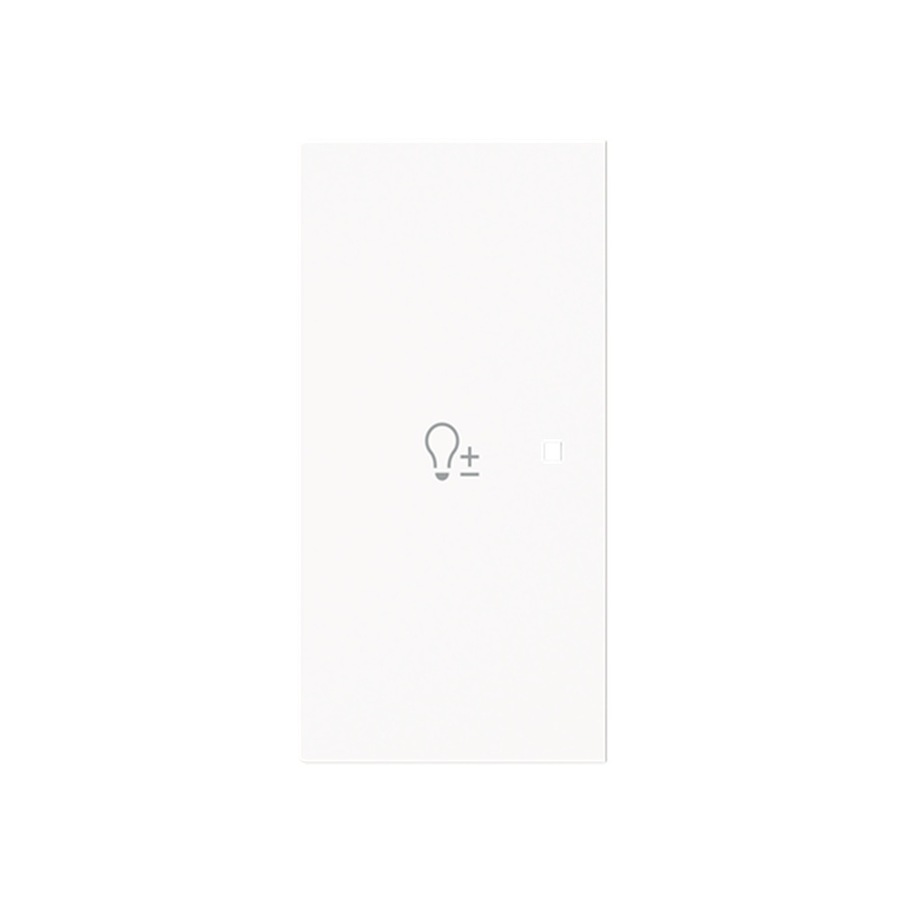 Busch-Jaeger Wippe 6234-21-44G Typ 2CKA006220A0956