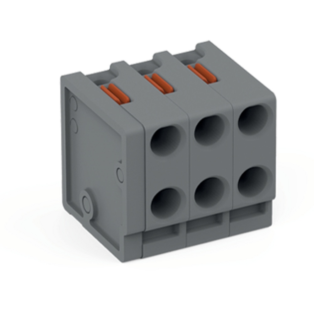 Wago 2 Leiter Federleiste 252-303