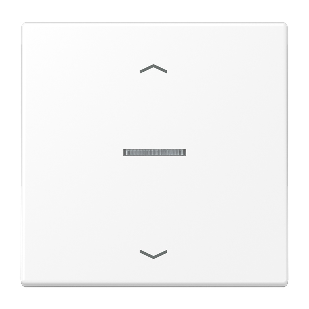 Jung Wippe m. Lichtleiter LS101KO5PWWM