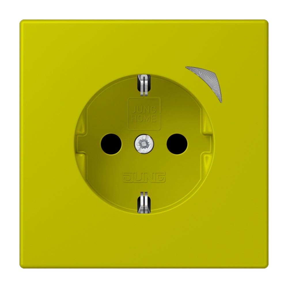 Jung JUNG HOME SCHUKO Steckdose BTLC1521S249