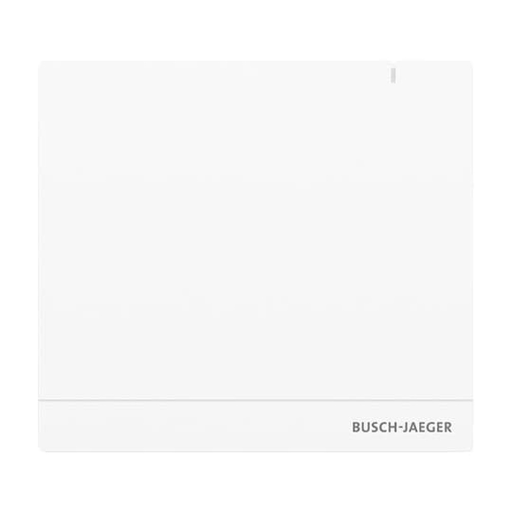 Busch-Jaeger System Access Point SAP/S.13 Nr. 2CKA006200A0154