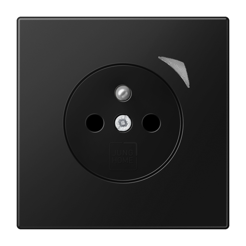 Jung JUNG HOME Steckdose BTLS1521FSESWM
