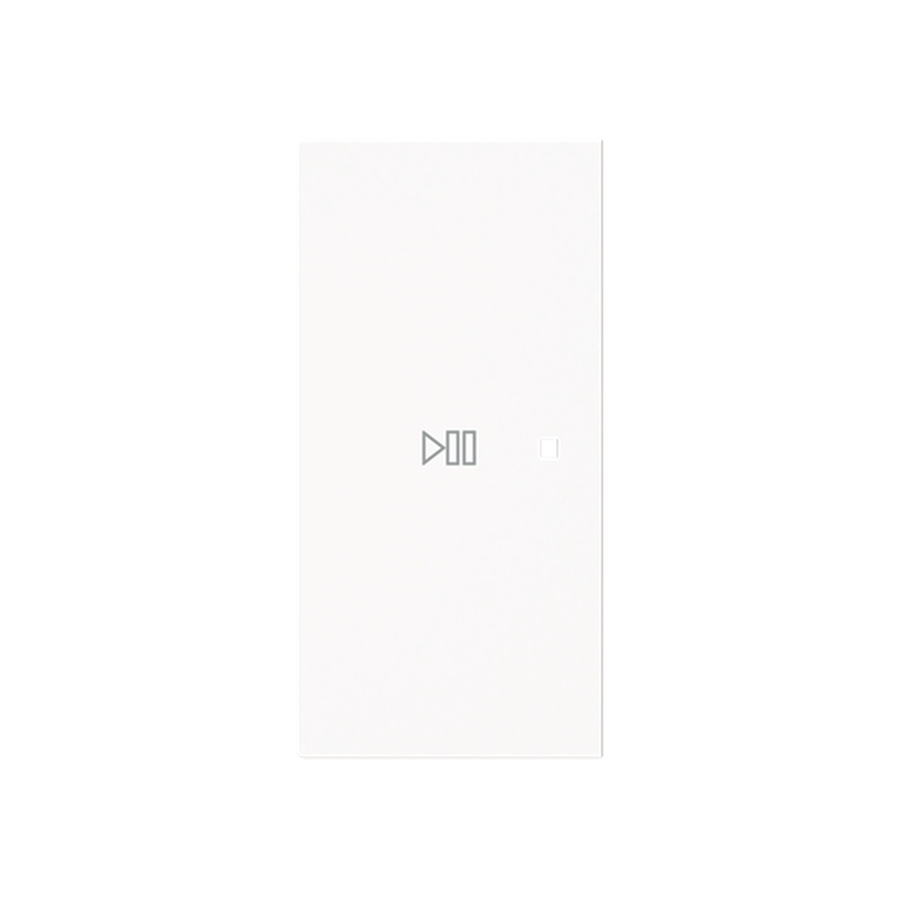 Busch-Jaeger Wippe 6237-21-44M Typ 2CKA006220A0977