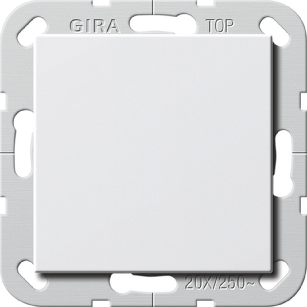 Gira Wippschalter 283603