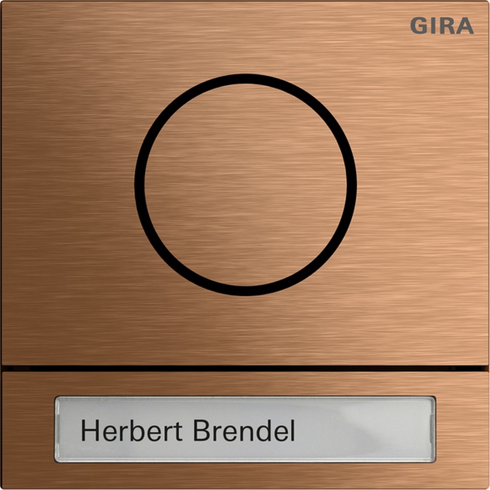 Gira Türstationsmodul 5565921