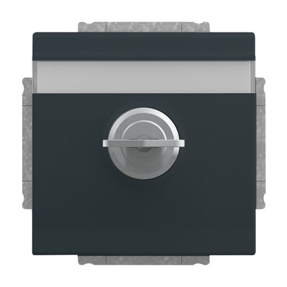 Busch-Jaeger SCHUKO Steckdosen Einsatz 20 EUKNBSL-81 Nr. 2CKA002018A1557 Busch-Jaeger SCHUKO Steckdosen Einsatz 20 EUKNBSL-81 Nr. 2CKA002018A1557