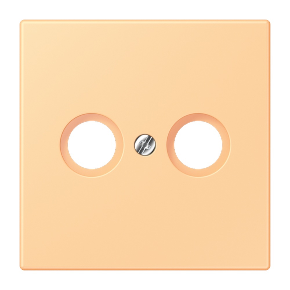 Jung Abdeckung LC990TV258