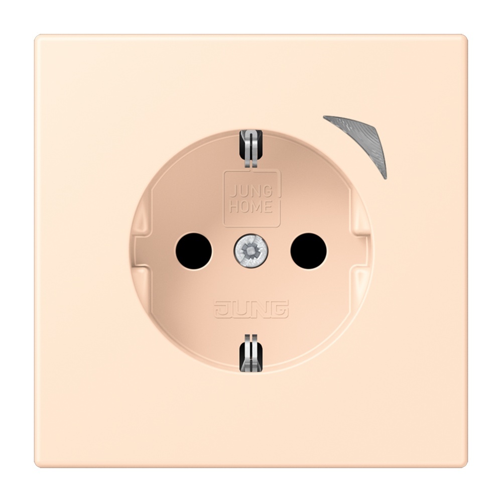 Jung JUNG HOME SCHUKO Steckdose BTLC1521SE238