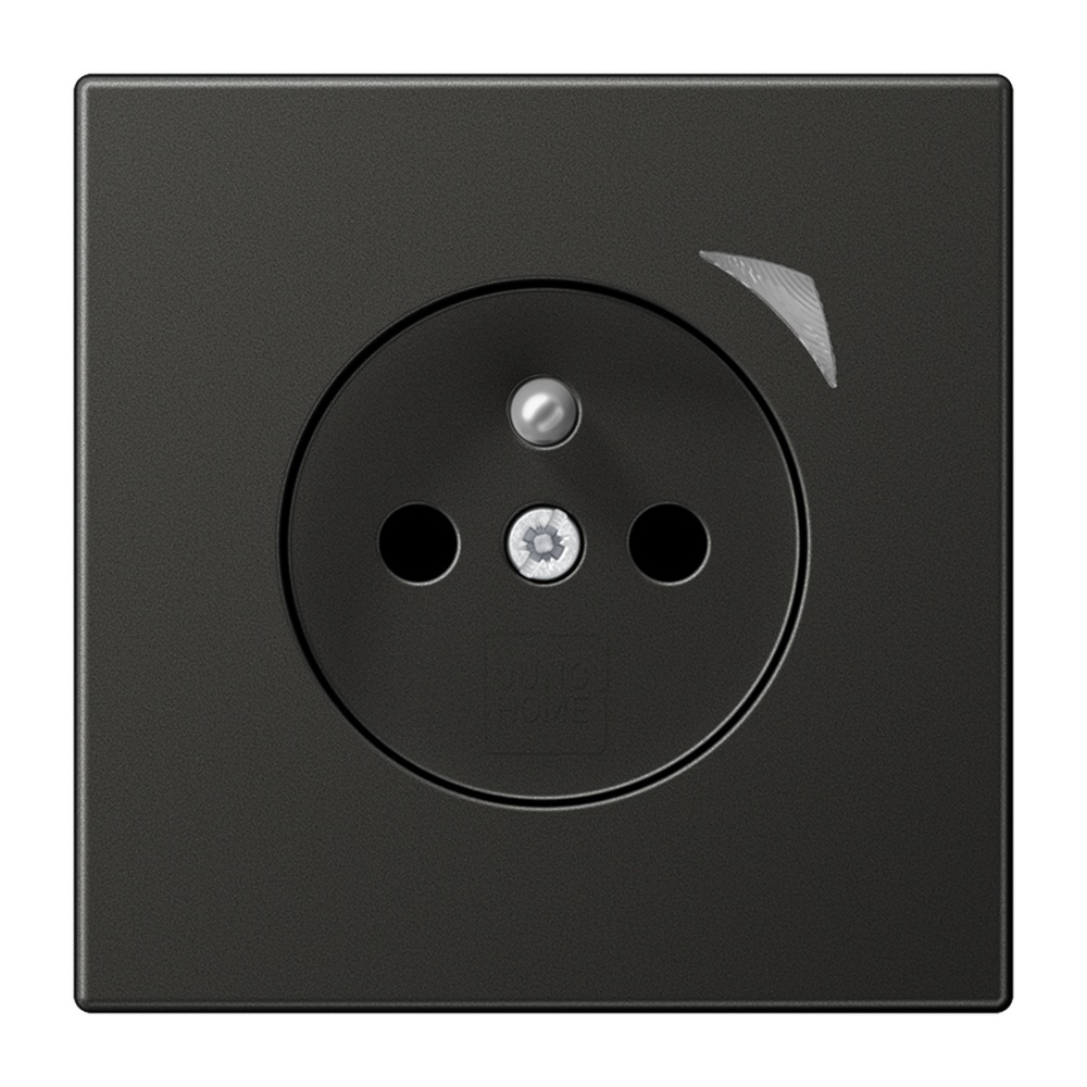 Jung JUNG HOME Steckdose BTAL1521FSEAN-L