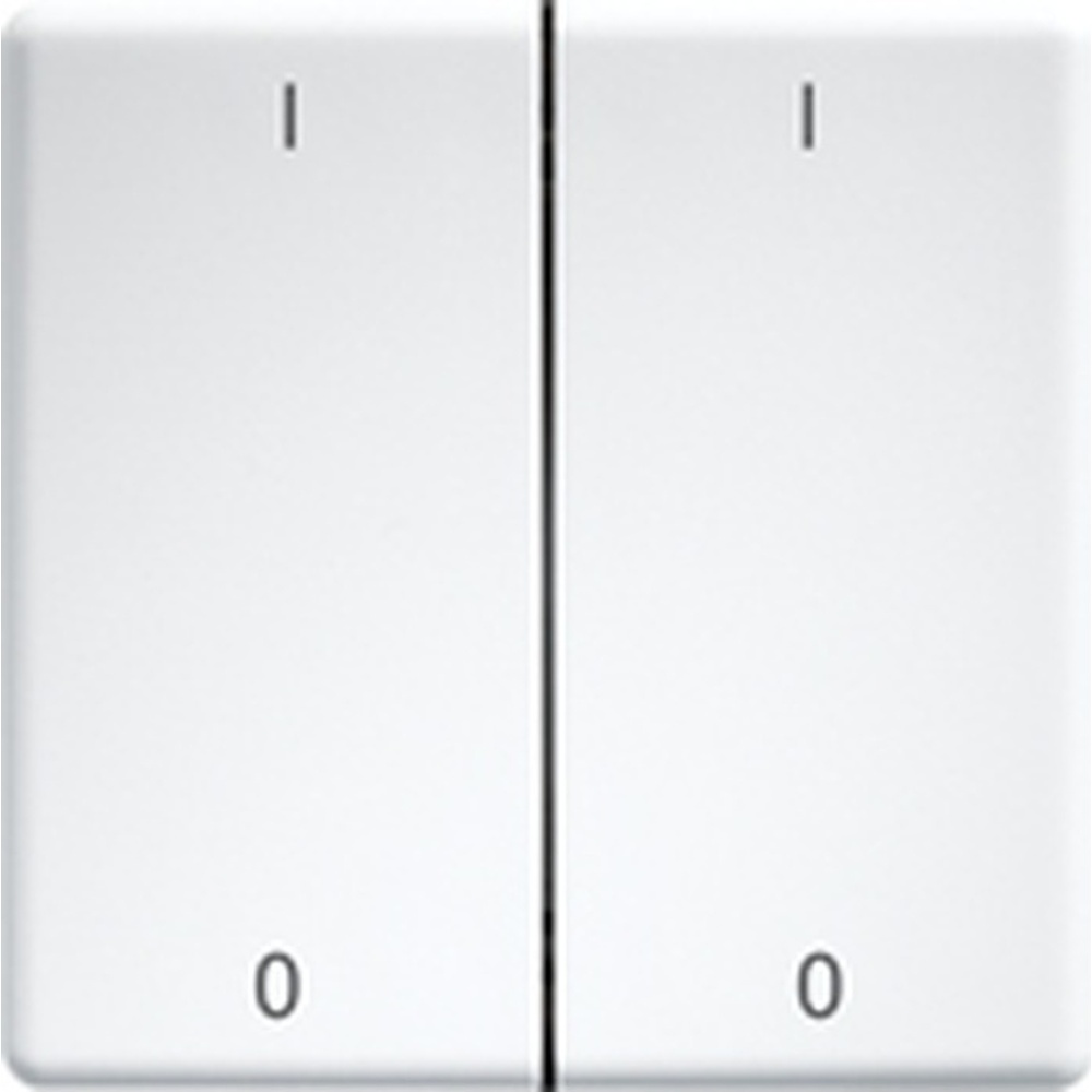 ELTAKO Doppelwippen 30000988 Typ DW-FT55-rw+IO