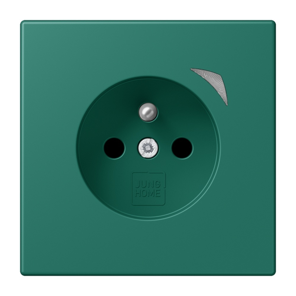 Jung Steckdose BTLC1521FS216