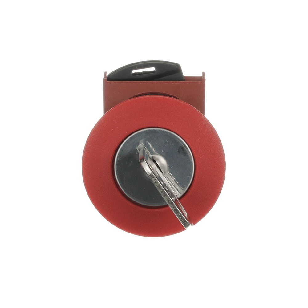 ABB Frontelement für Drucktaster 1SFA184073R9001 Typ P9MEC4RN95