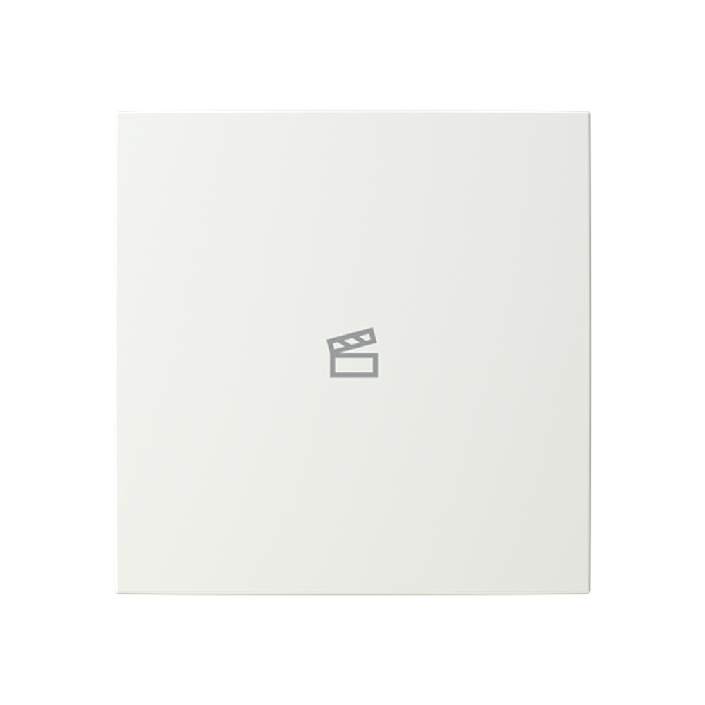 Busch-Jaeger Abdeckung LFST/A.1.55.11-914 Typ 2CKA006199A0169