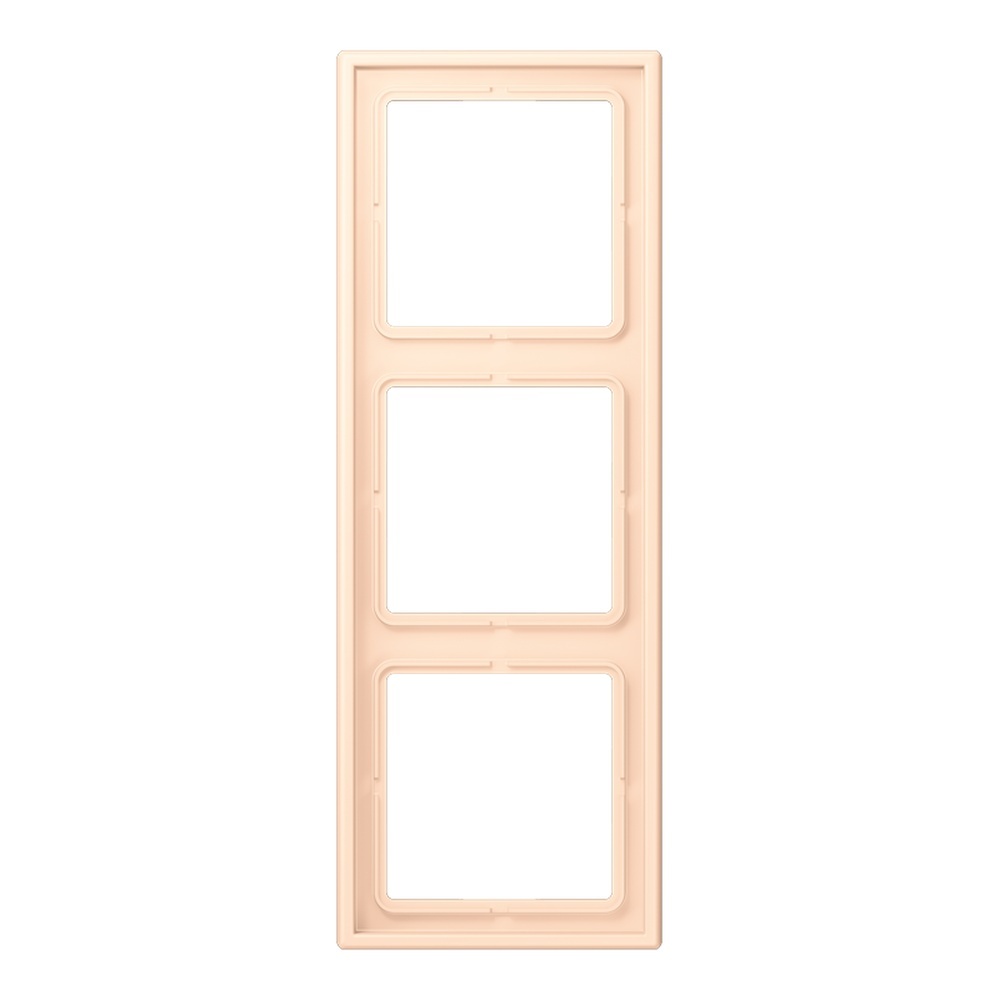 Jung Rahmen LC983238