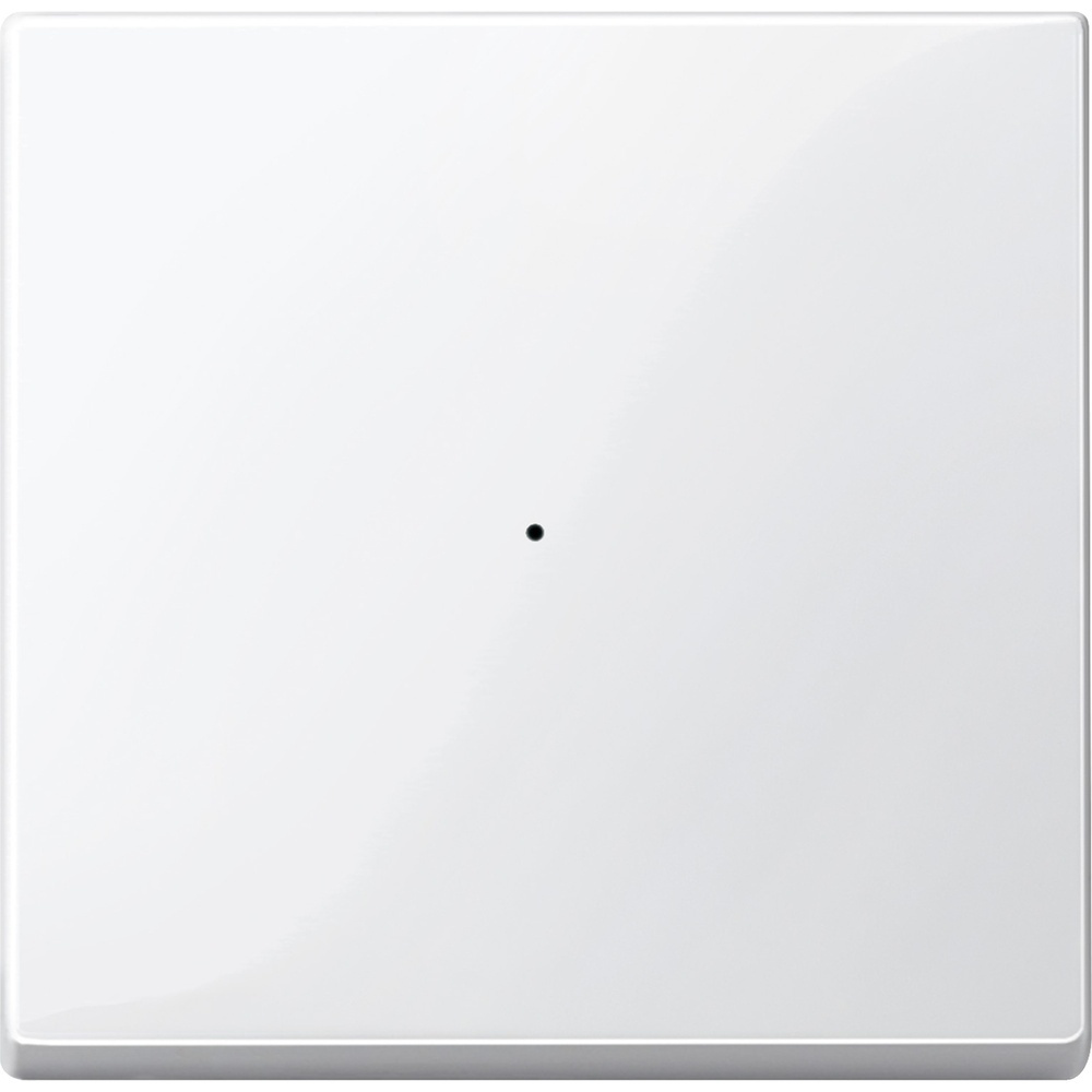 Merten Wippe 619119