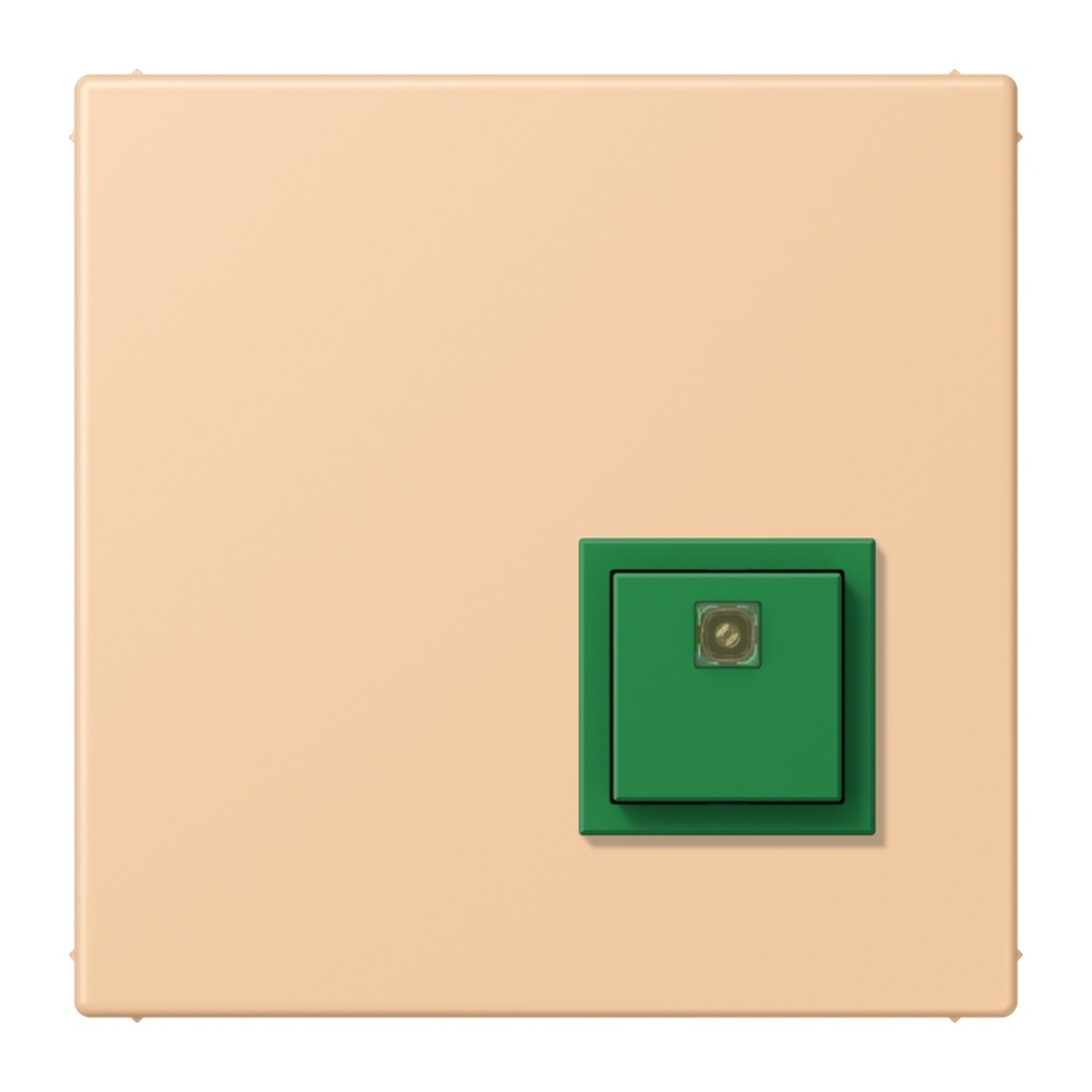 Jung Notrufsystem Abstelltaster NRSLC0834AT237