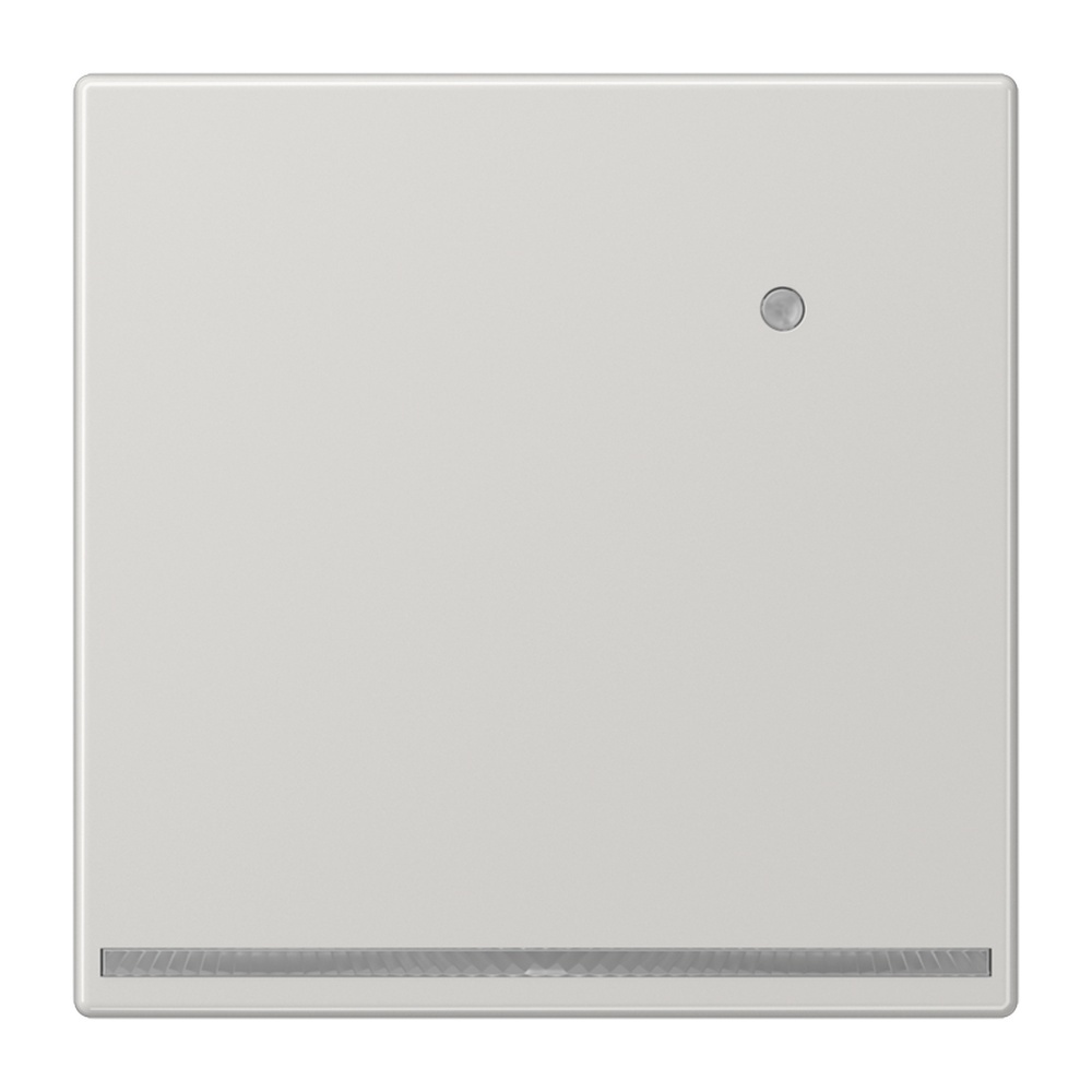 Jung LED Orientierungslicht LS1539-OLGLNW Jung LED Orientierungslicht LS1539-OLGLNW