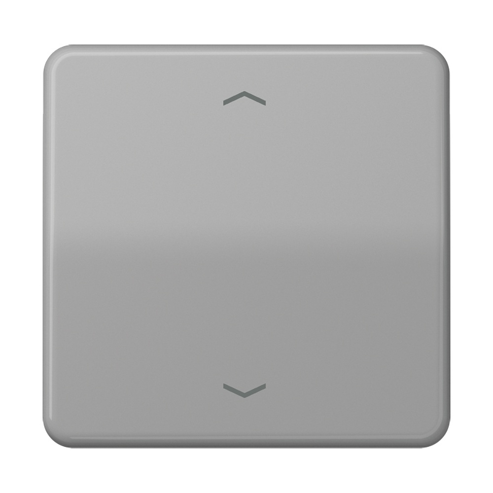 Jung Steuertaste CD1700PGR