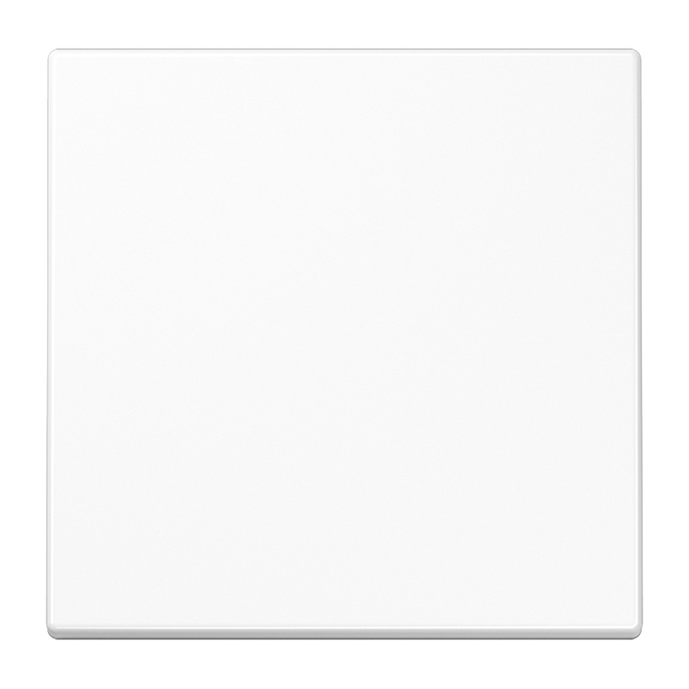 Jung Wippe f. KNX Taster LS101WW