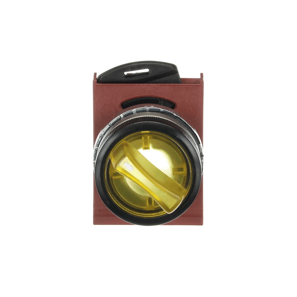 ABB Frontelement für Wahlschalter 1SFA184593R9103 Typ P9MSLD0G