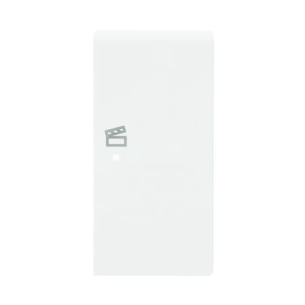 Busch-Jaeger Wippe 6233-22-84 Nr. 2CKA006220A0070