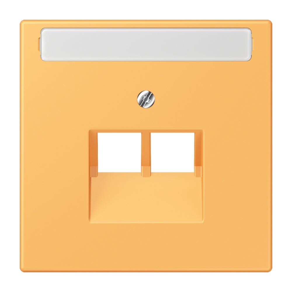 Jung Abdeckung LC969-2NAUA254