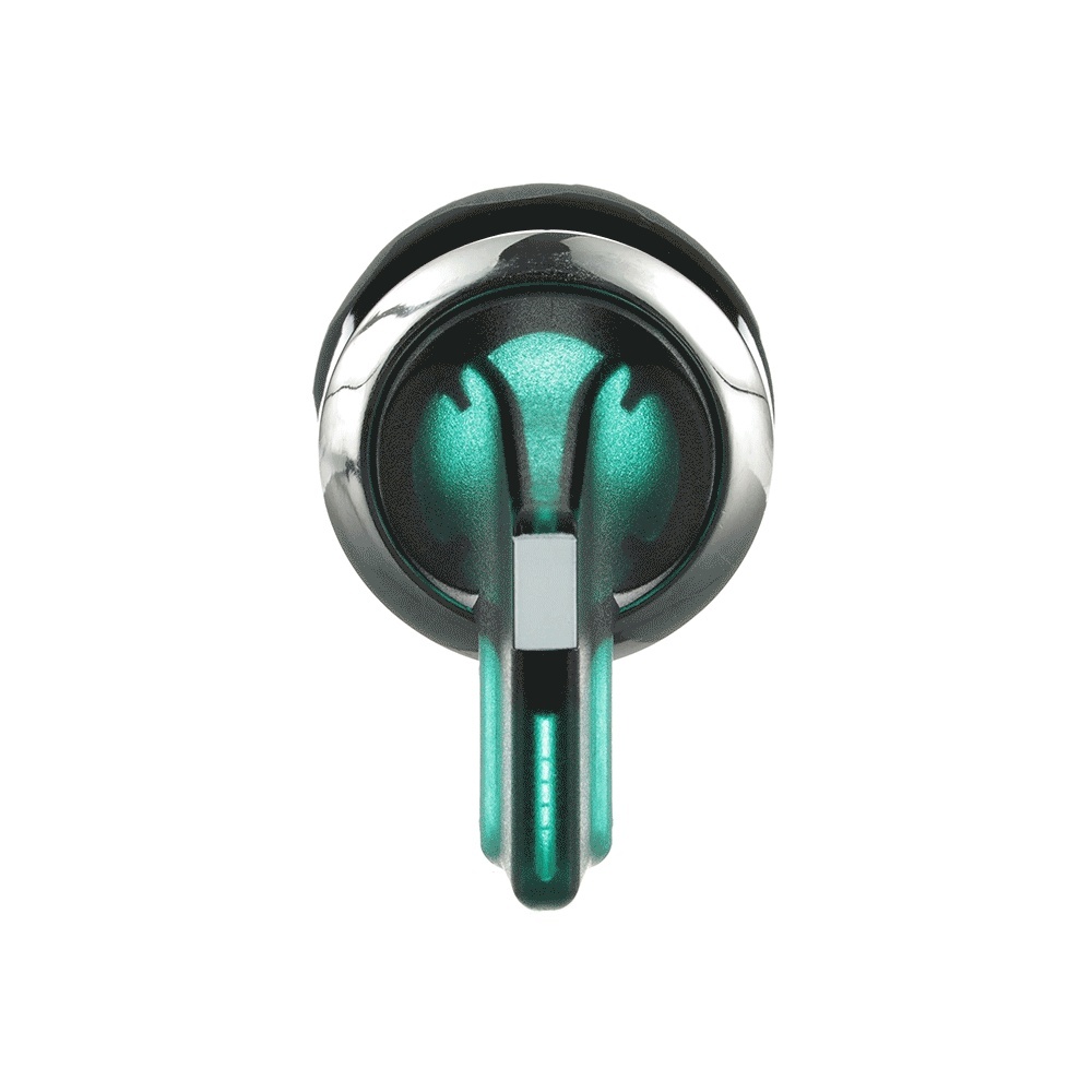 ABB Frontelement für Wahlschalter 1SFA611214R3102 Typ M3SS5-31G