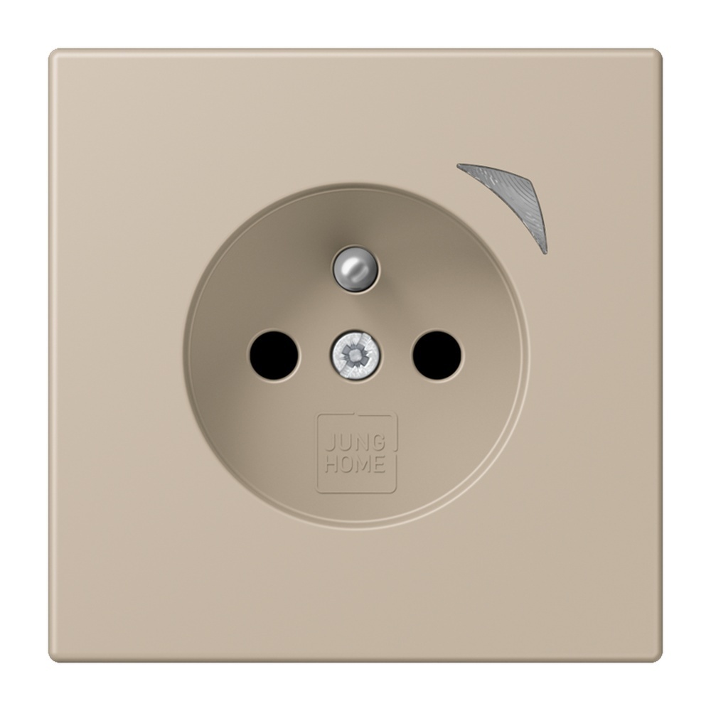 Jung Steckdose BTLC1521FS243