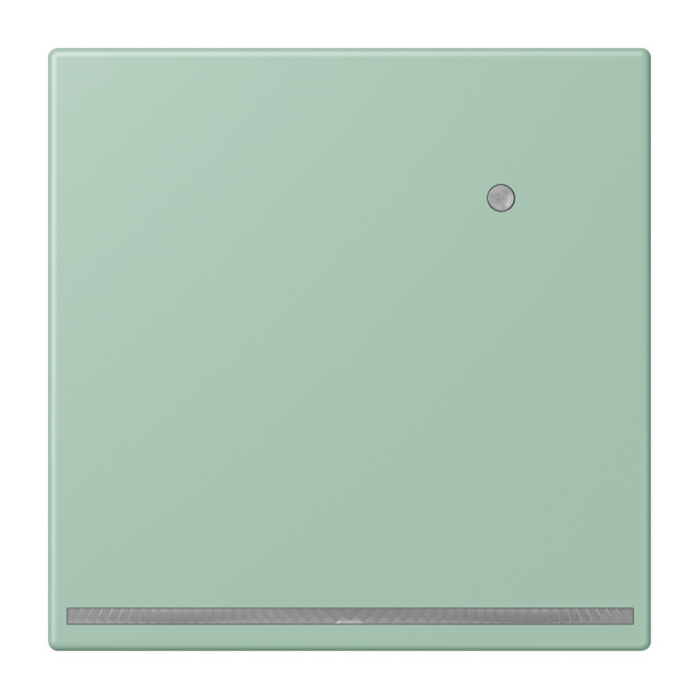 Jung LED Orientierungslicht LC1539-OLNW217