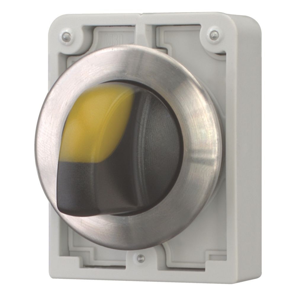 Eaton Leuchtwahltasten 188076 Typ M30I-FWRLK3-Y