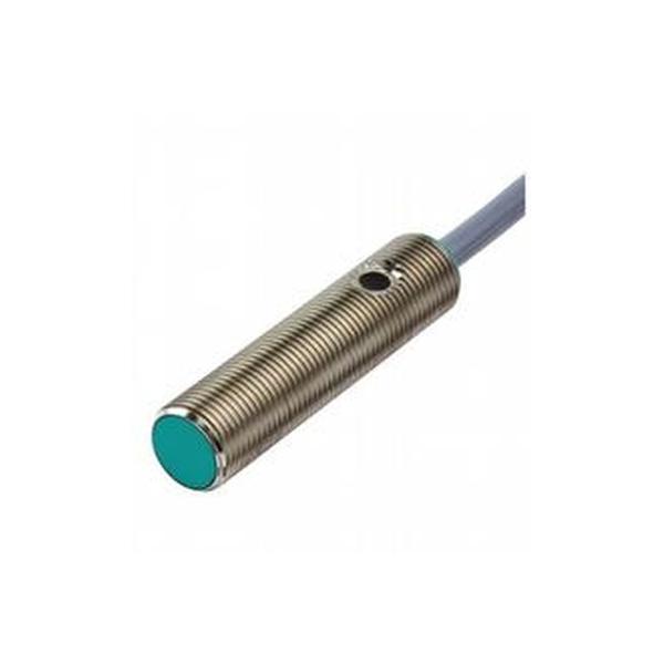 Pepperl+Fuchs Induktiver Sensor 025998 Typ NJ2-12GM50-WS