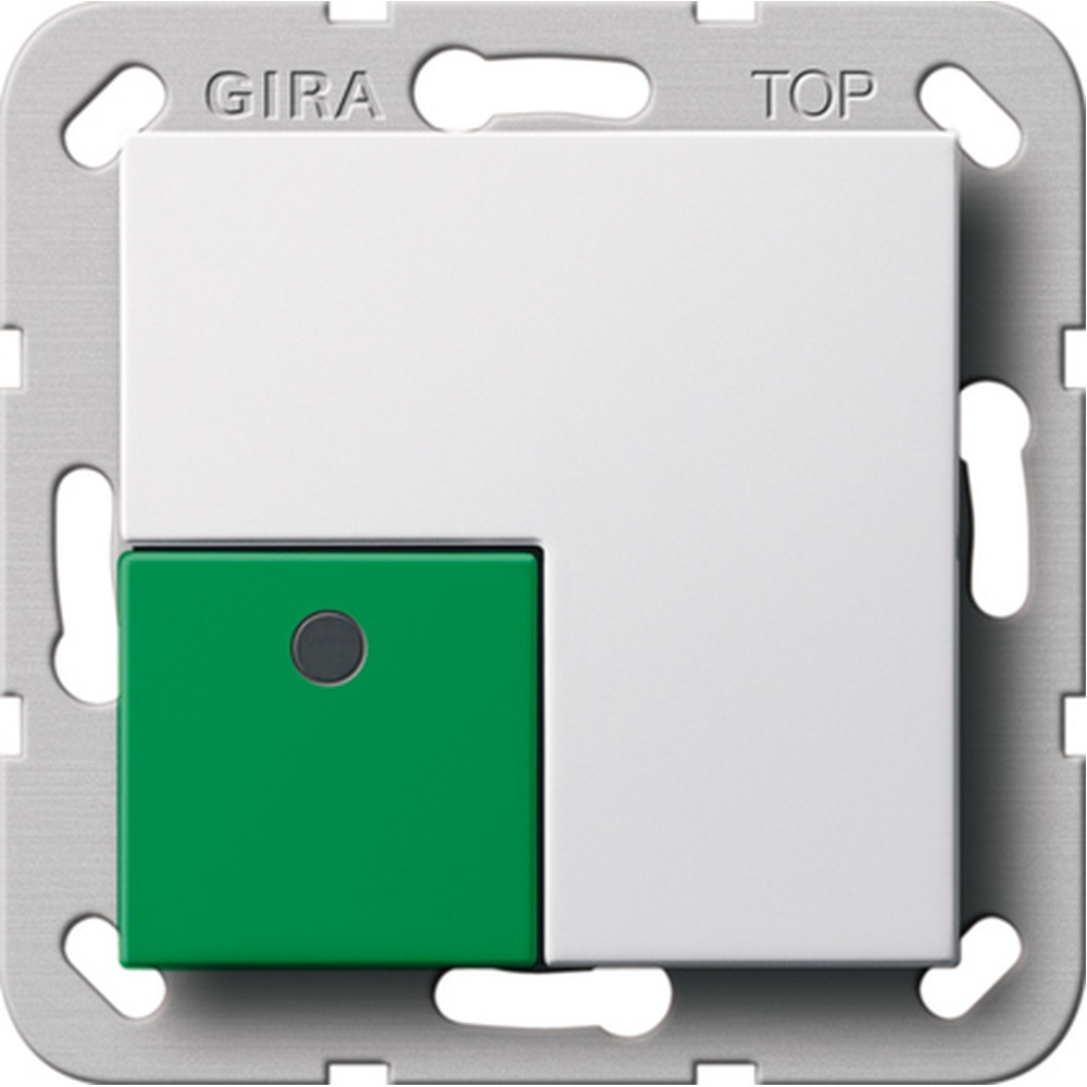 Gira Abstelltaster 291103