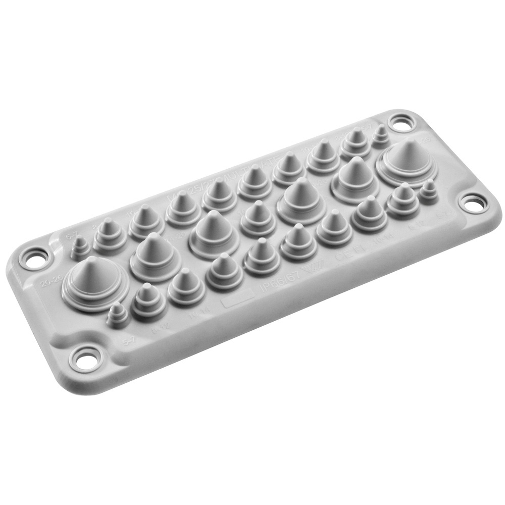 Schneider Electric Kabeleinführungsplatte NSYAECPFLT25