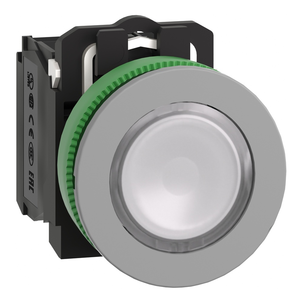 Schneider Electric Leuchtdrucktaster XB5FW31B5C0