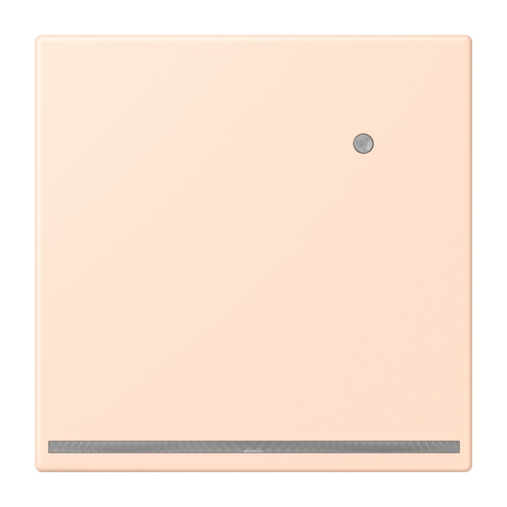 Jung LED Orientierungslicht LC1539-OLNW228