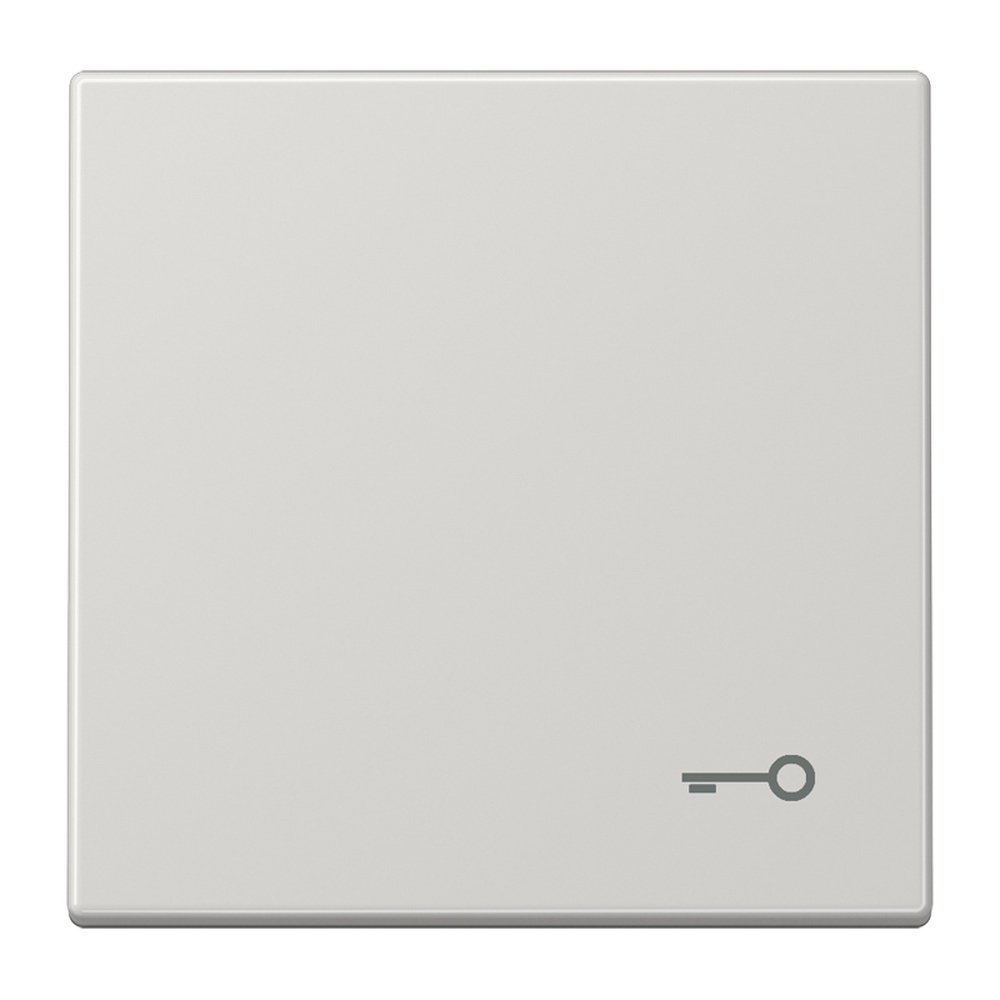 Jung Wippe LS990TLG