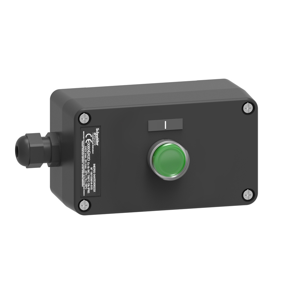 Schneider Electric Tasterstation XAWG100EX