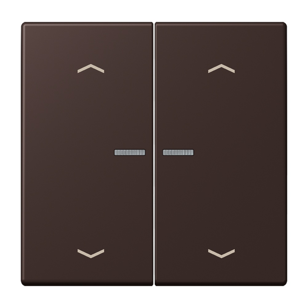 Jung JUNG HOME Taster BTLC17102P252