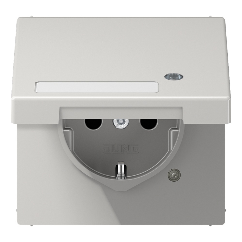 Jung Schutzkontakt Steckdose LS 1520 NAKLKO LG