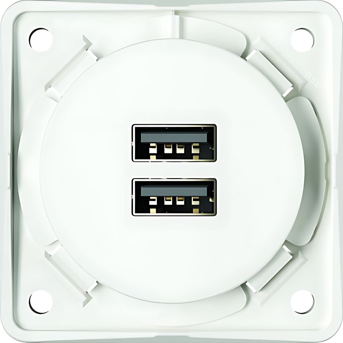 Berker USB Ladesteckdose 926102509