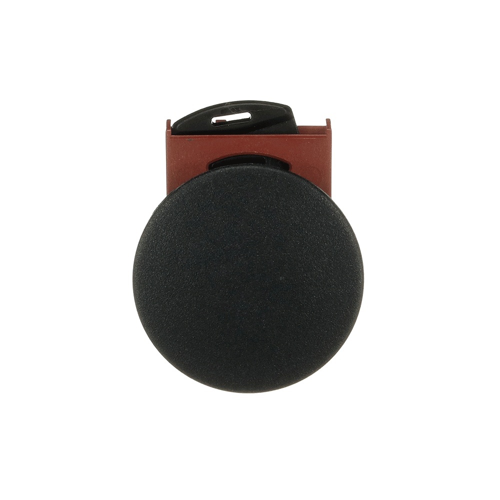 ABB Frontelement für Drucktaster 1SFA184060R9006 Typ P9MET4NN1