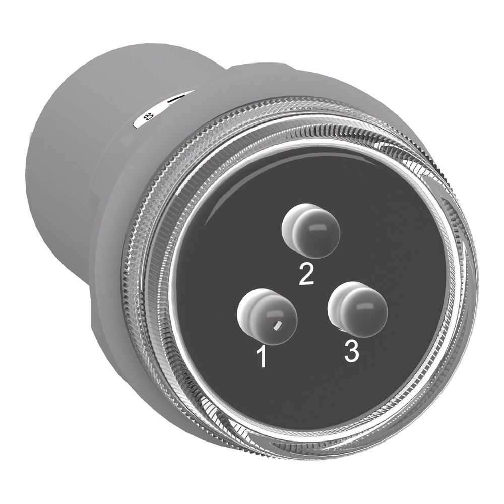 Schneider Electric Leuchtmelder XB5EV57K4