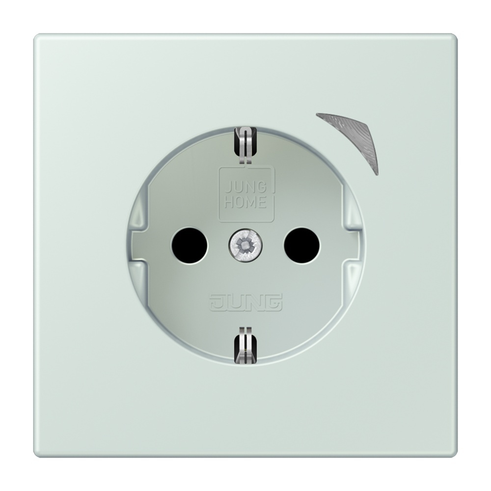Jung JUNG HOME SCHUKO Steckdose BTLC1521SE215
