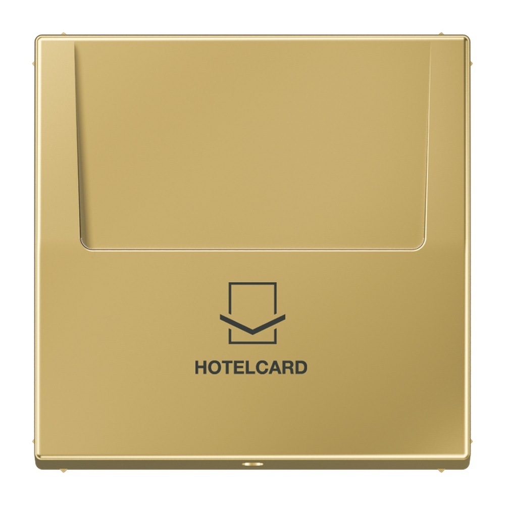 Jung Hotelcard Schalter ME 2990 CARD C