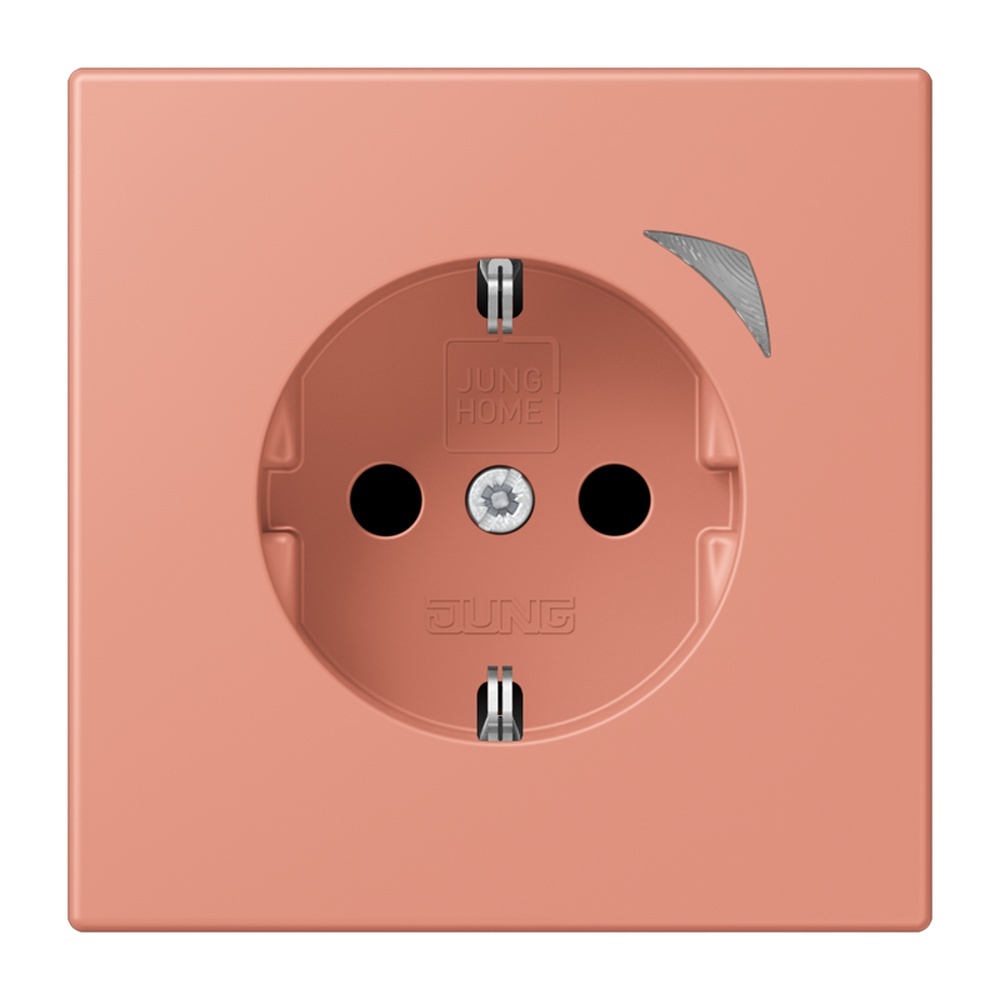 Jung JUNG HOME SCHUKO Steckdose BTLC1521SE233