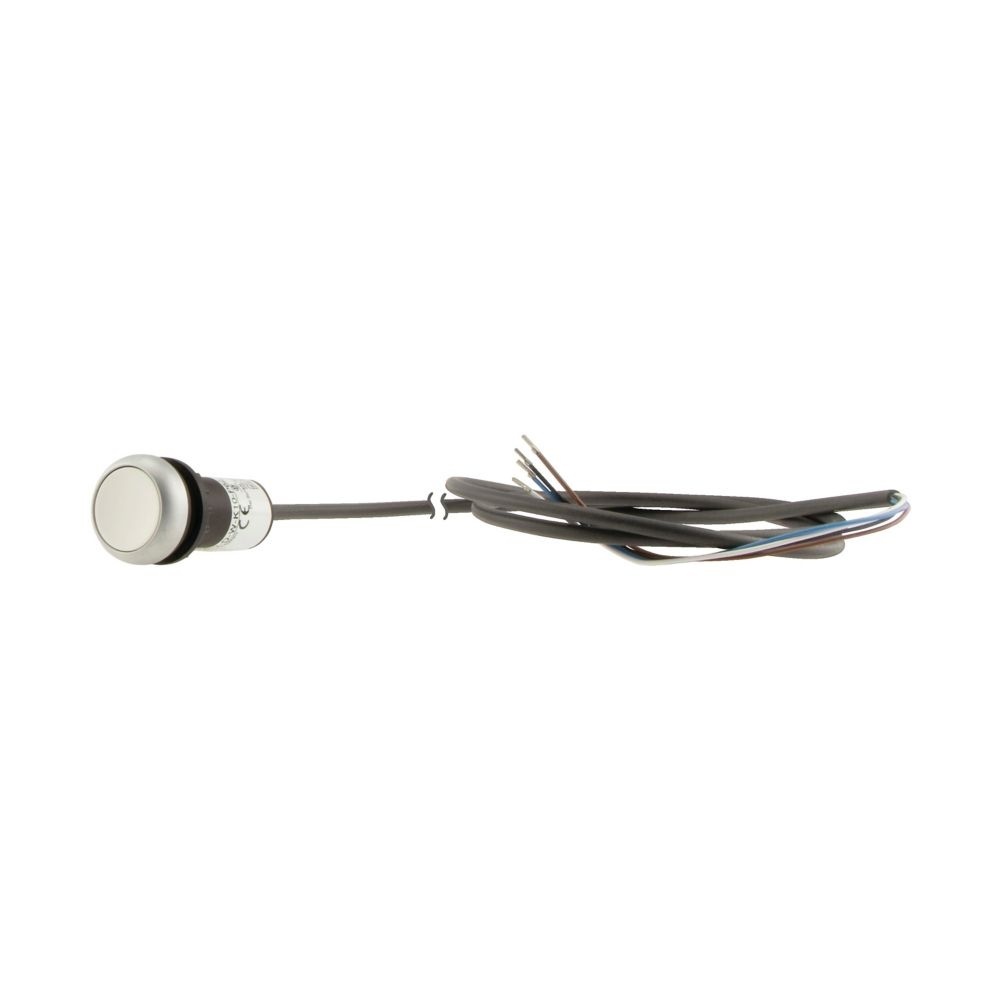 Eaton Drucktaste 185673 Typ C22-D-W-K10-P62